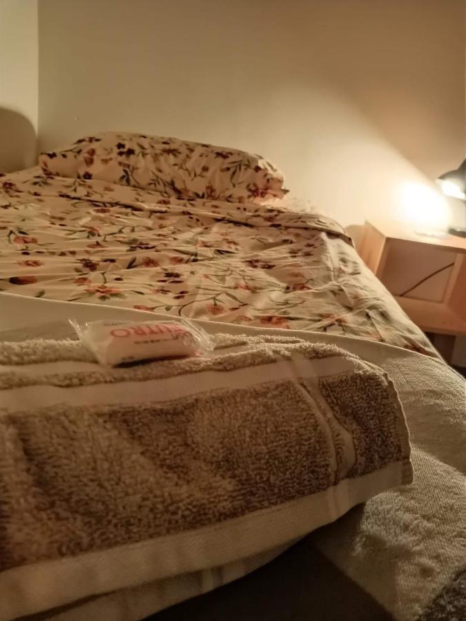 Hostal Del Centro En Slp San Luis Potosí Екстериор снимка